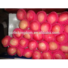 Fruta de manzana fresca / Manzana fresca china / Fruta de manzana de precio al por mayor